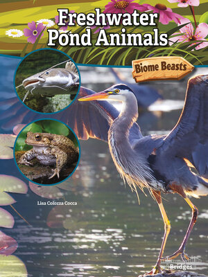 cover image of Freshwater Pond Animals